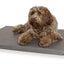 Bia Bed Matras Ligbed Grijs