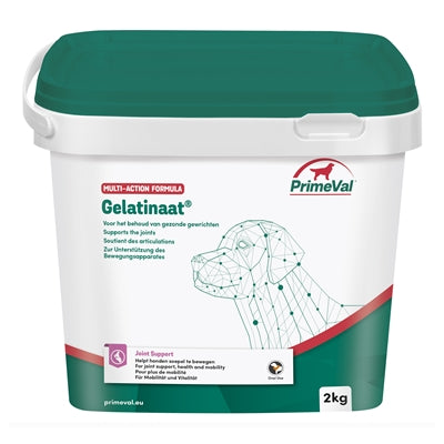 Primeval Gelatinaat Hond