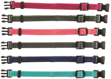 Trixie Puppy Halsbandset Fuchsia/Grafiet/Indigo/Bosgroen/Koraal