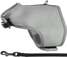Trixie Kattentuig Soft Met Riem Assorti 24-42 Cmx1,2 Mtr