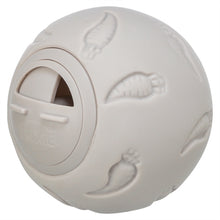 Trixie Snackbal Knaagdier 7X7X7 Cm