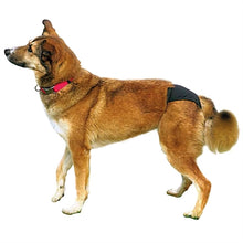 Trixie Loopsheidbroekje Zwart S 24-31 Cm