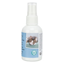 Trixie Catnip Speelspray 6X50 Ml