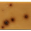 Beloved Clean Pet Shampoo Bar