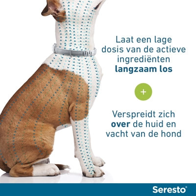 Bayer Seresto Teken- En Vlooienband Hond