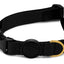 Morso Halsband Hond Gerecycled Gold Caviar Goud