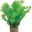 Zolux Ornament Pastic Plant Op Stenen Neutraal Assorti