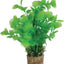 Zolux Ornament Pastic Plant Op Stenen Neutraal Assorti