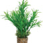 Zolux Ornament Pastic Plant Op Stenen Vrolijk Assorti