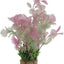 Zolux Ornament Pastic Plant Op Stenen Vrolijk Assorti