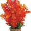 Zolux Ornament Pastic Plant Op Stenen Puntig Assorti
