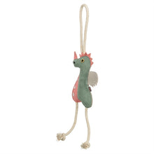 Trixie Draak Leer Met Touw