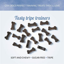 Antos Mini Bones Pens