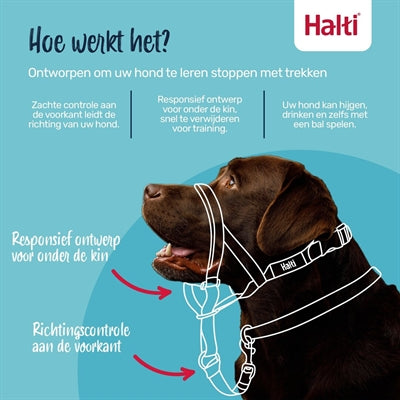 The Company Of Animals Company Of Animals Halti Headcollar Zwart
