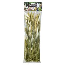 Back Zoo Nature Millet Tarwe 50 Gr
