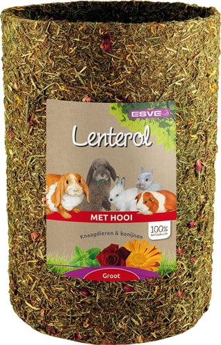 Esve Lenterol Medium 25 Cm